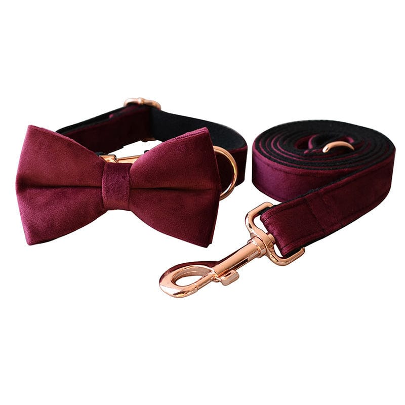 Hundeleine CLEO BURGUNDY Premium Velvet Hundeleine + Halsband