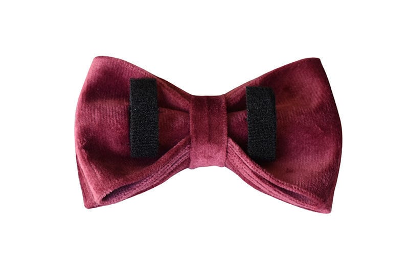 Hundeleine CLEO BURGUNDY Premium Velvet Hundeleine + Halsband