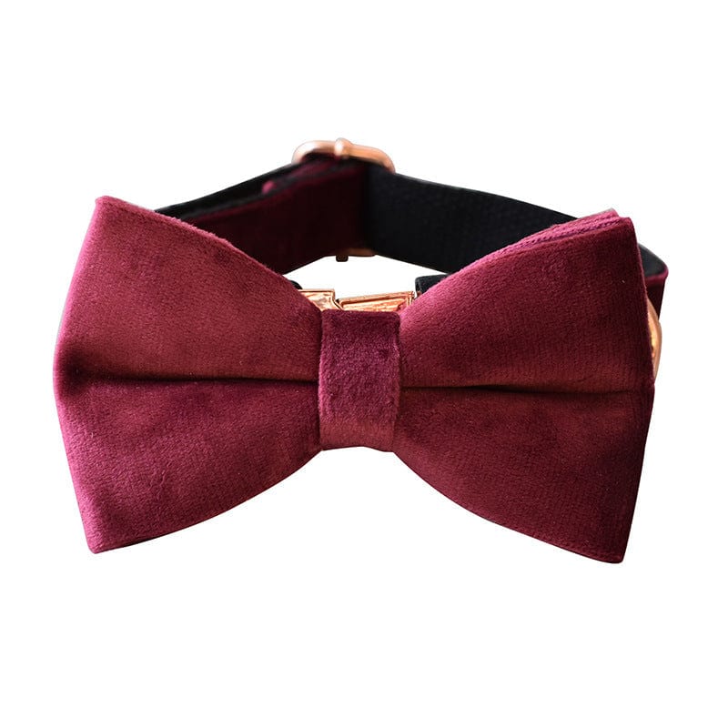 Hundeleine CLEO BURGUNDY Premium Velvet Hundeleine + Halsband Halsband mit Fliege / XS