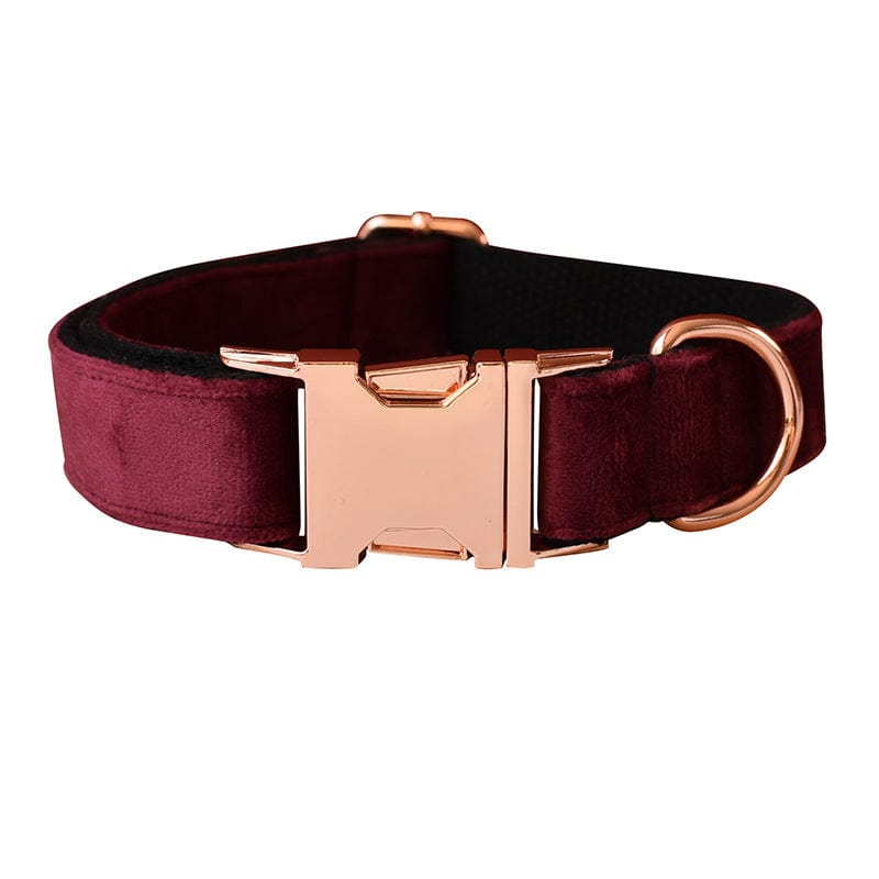 Hundeleine CLEO BURGUNDY Premium Velvet Hundeleine + Halsband Halsband / XS