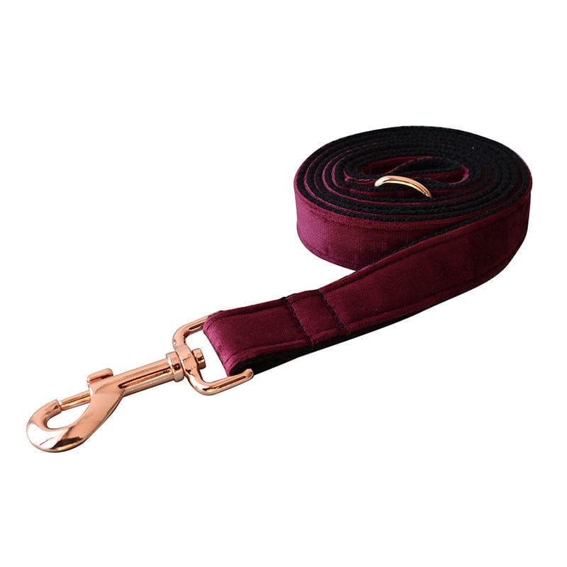 Hundeleine CLEO BURGUNDY Premium Velvet Hundeleine + Halsband Leine / XS