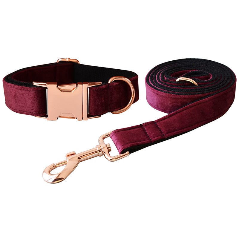 Hundeleine CLEO BURGUNDY Premium Velvet Hundeleine + Halsband Set A / XS