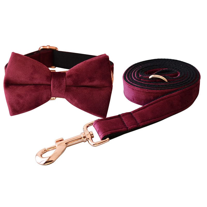 Hundeleine CLEO BURGUNDY Premium Velvet Hundeleine + Halsband Set B / XS