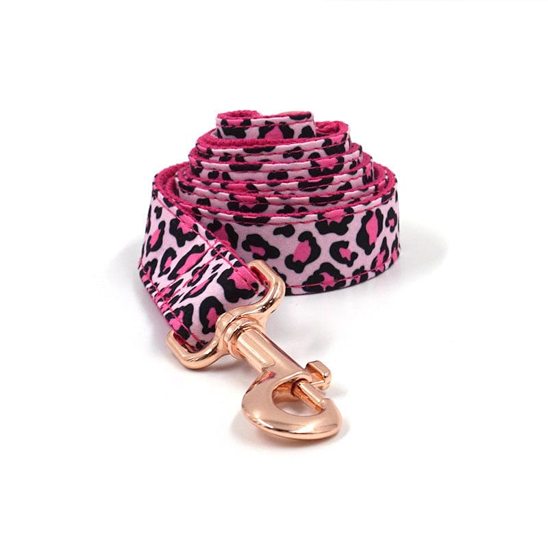 Hundeleine CLEO LEOPARD Premium Hundeleine + Halsband SET