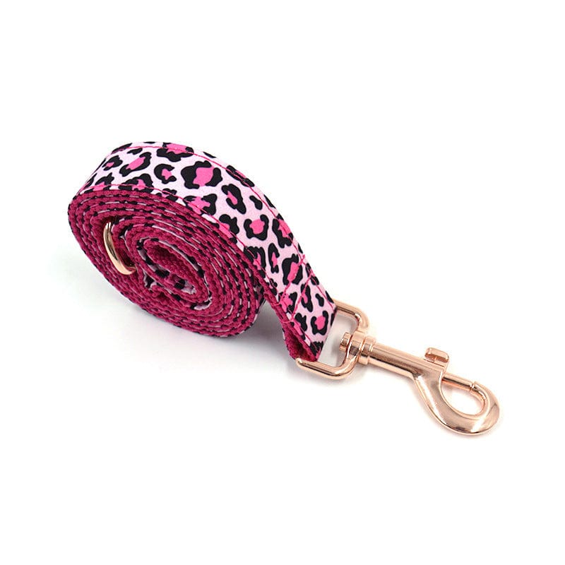 Hundeleine CLEO LEOPARD Premium Hundeleine + Halsband SET