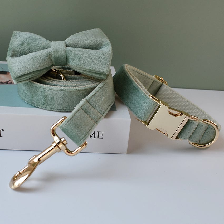 Hundeleine CLEO MINT Premium Velvet Hundeleine + Halsband