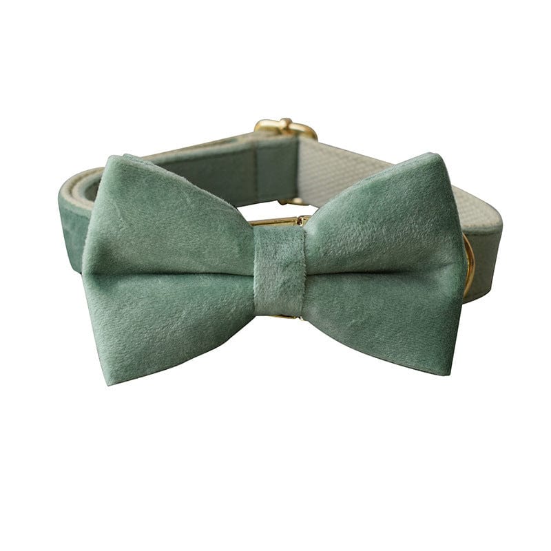 Hundeleine CLEO MINT Premium Velvet Hundeleine + Halsband Halsband mit Schleife / XS