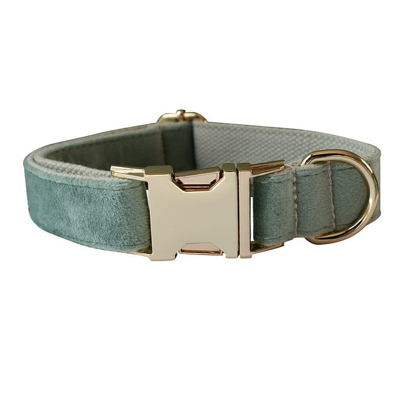 Hundeleine CLEO MINT Premium Velvet Hundeleine + Halsband Halsband / XS