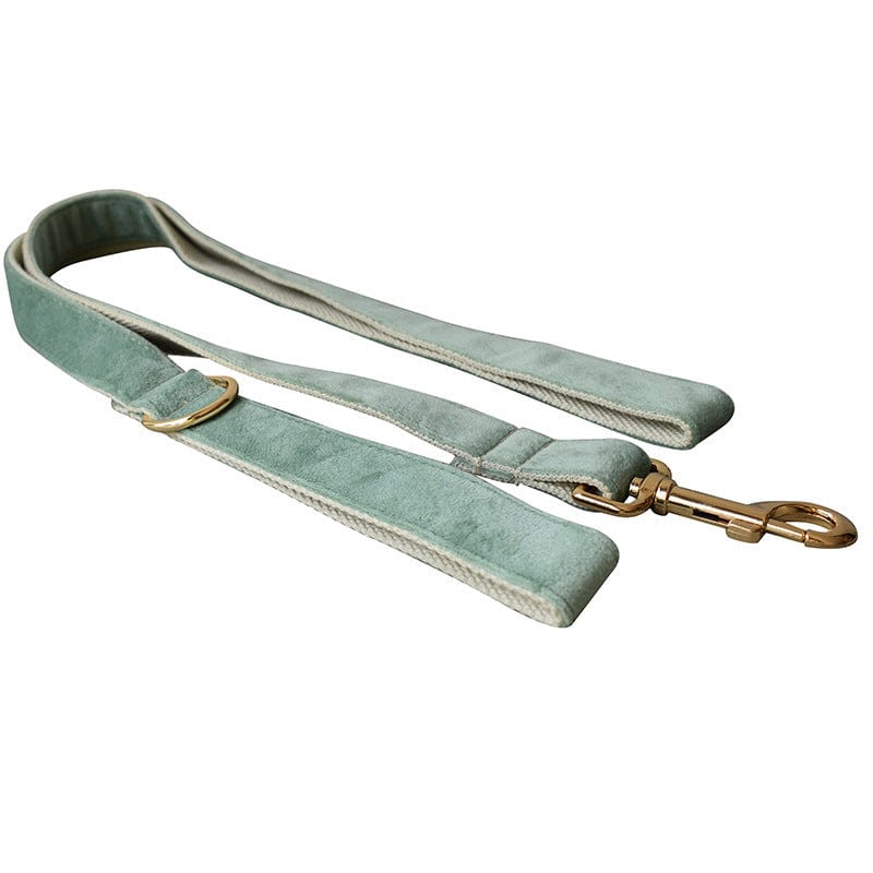 Hundeleine CLEO MINT Premium Velvet Hundeleine + Halsband Leine / XS