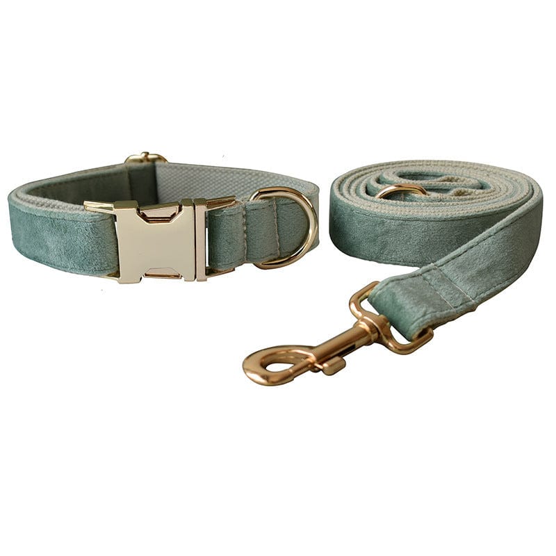 Hundeleine CLEO MINT Premium Velvet Hundeleine + Halsband Set A / XS