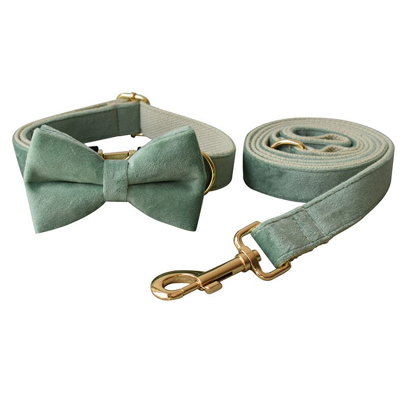 Hundeleine CLEO MINT Premium Velvet Hundeleine + Halsband Set B / XS