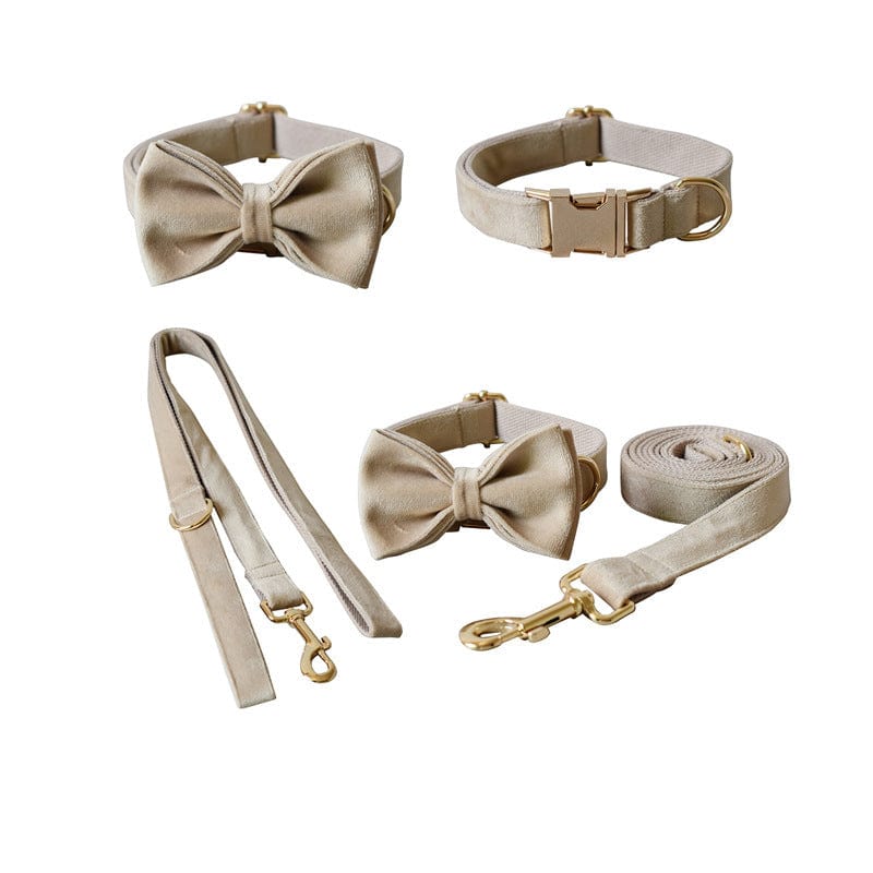 Hundeleine CLEO NUDE Premium Velvet Hundeleine + Halsband