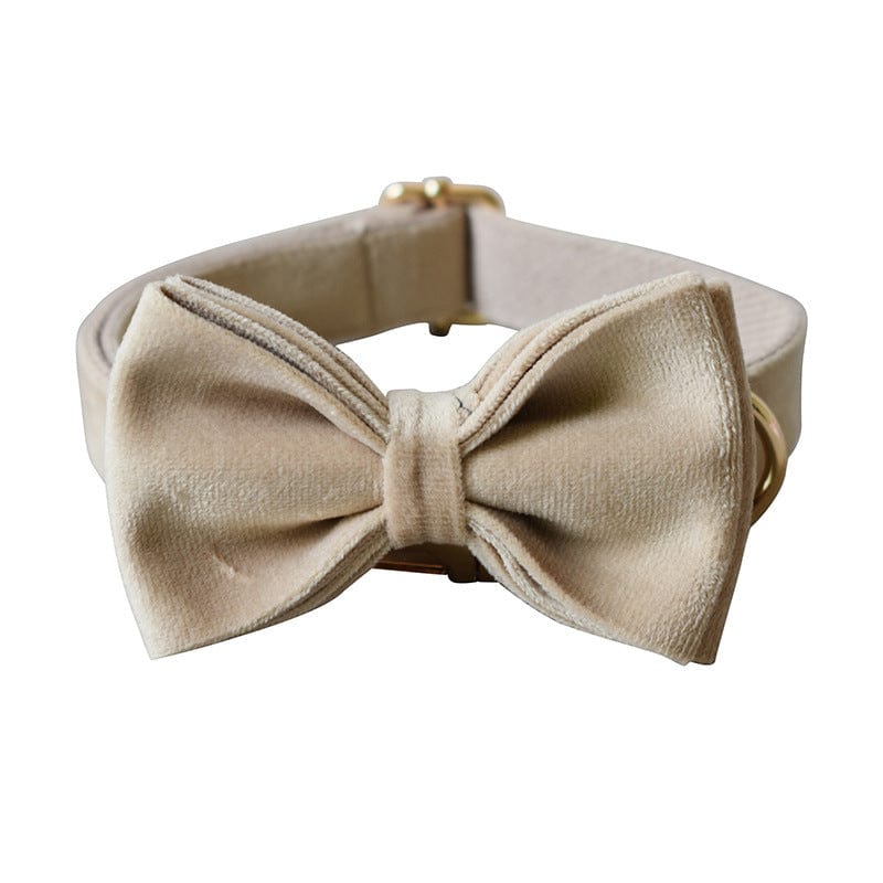 Hundeleine CLEO NUDE Premium Velvet Hundeleine + Halsband Halsnad mit Schleife / XS
