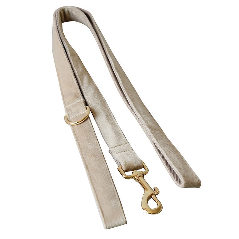 Hundeleine CLEO NUDE Premium Velvet Hundeleine + Halsband Leine / XS