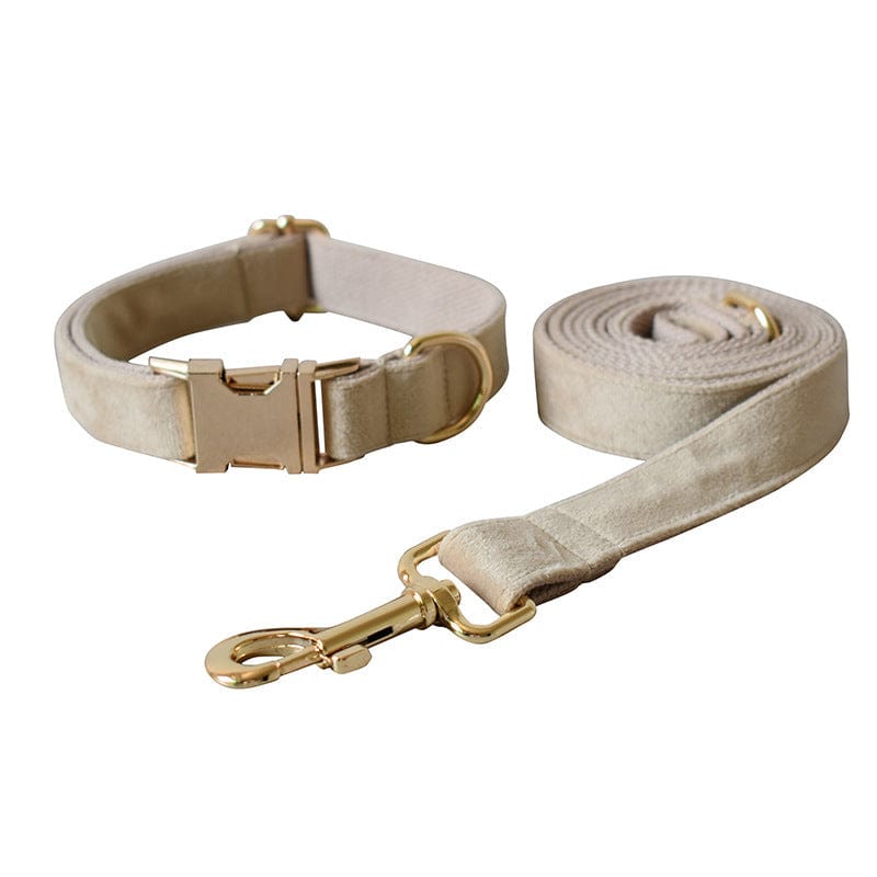Hundeleine CLEO NUDE Premium Velvet Hundeleine + Halsband Set A / XS