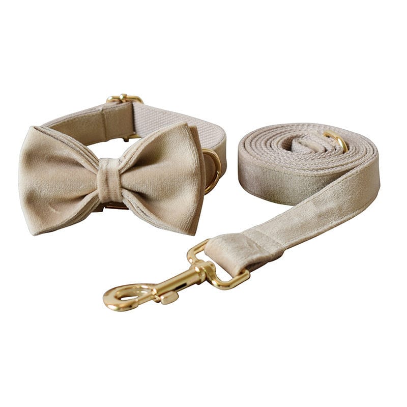 Hundeleine CLEO NUDE Premium Velvet Hundeleine + Halsband Set B / XS