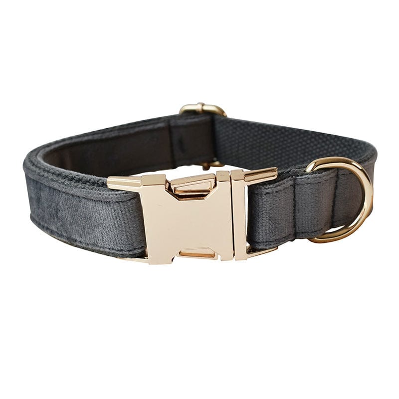 Hundeleine CLEO ONYX Premium Velvet Hundeleine + Halsband Halsband / XS