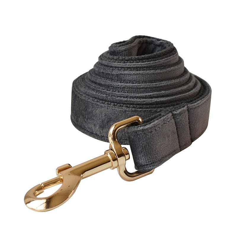 Hundeleine CLEO ONYX Premium Velvet Hundeleine + Halsband Leine / XS