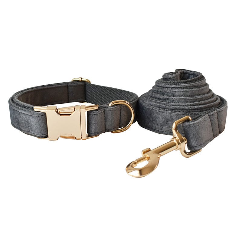 Hundeleine CLEO ONYX Premium Velvet Hundeleine + Halsband Set A / XS