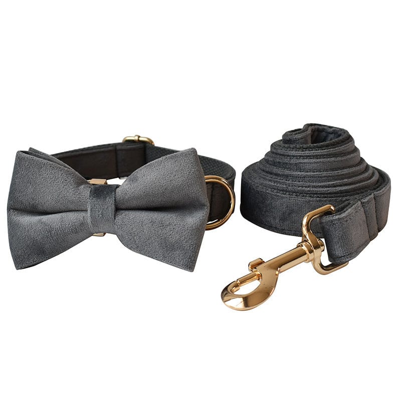 Hundeleine CLEO ONYX Premium Velvet Hundeleine + Halsband Set B / XS