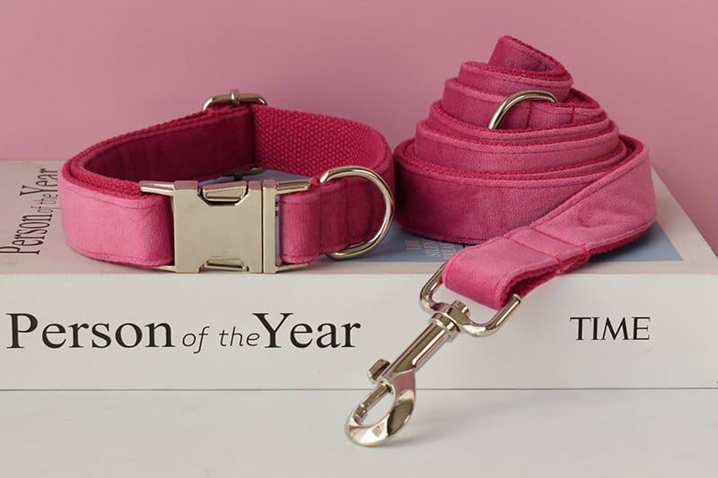 Hundeleine CLEO ROSE Premium Velvet Hundeleine + Halsband