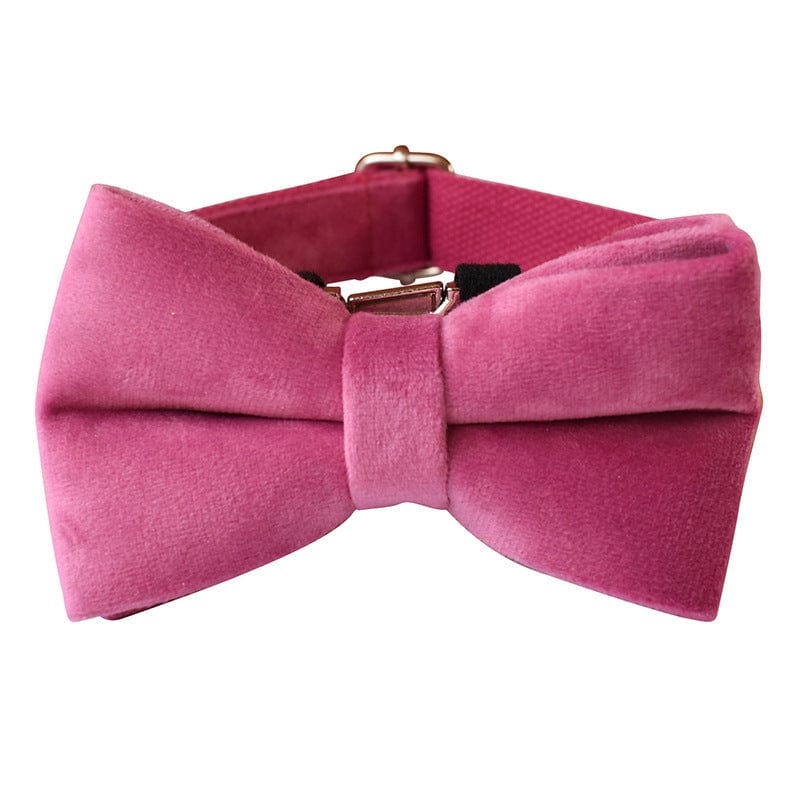 Hundeleine CLEO ROSE Premium Velvet Hundeleine + Halsband Halsband mit Schleife / XS