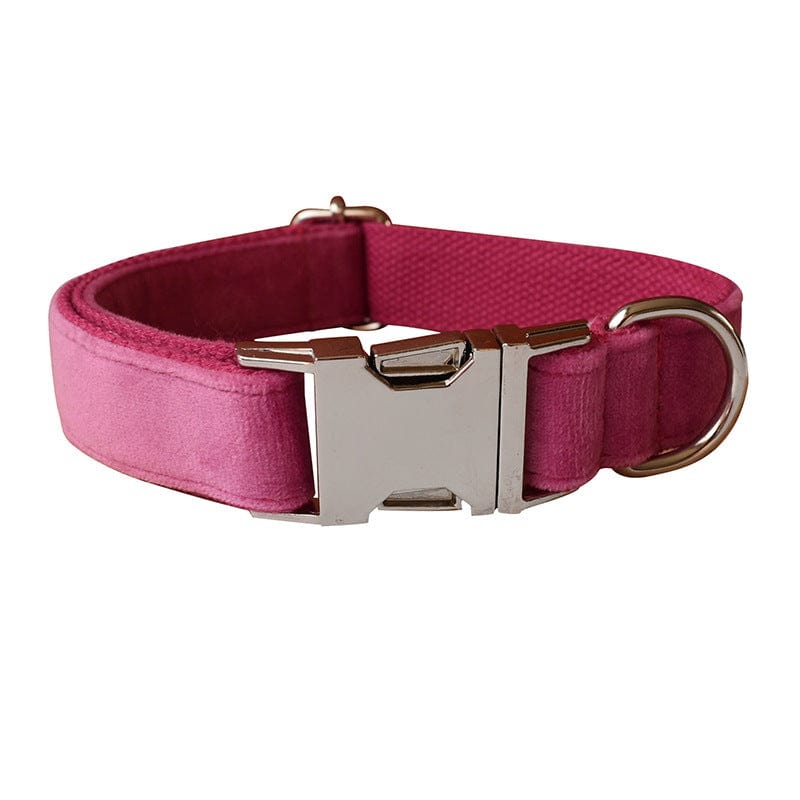 Hundeleine CLEO ROSE Premium Velvet Hundeleine + Halsband Halsband / XS