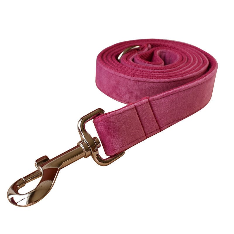 Hundeleine CLEO ROSE Premium Velvet Hundeleine + Halsband Leine / XS