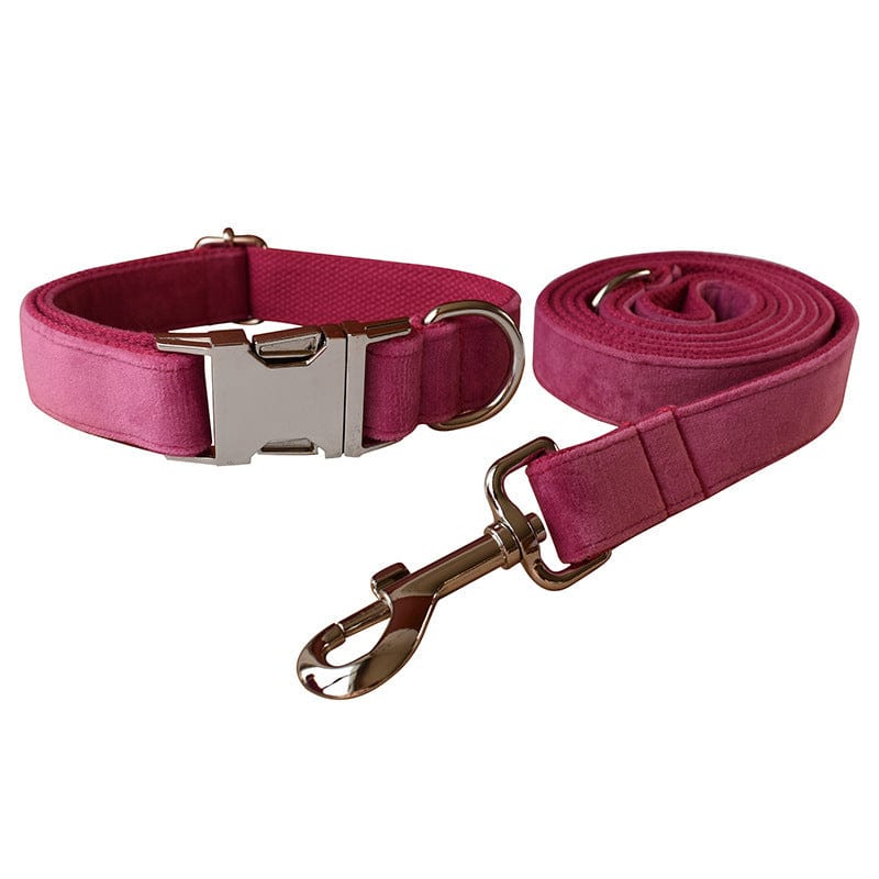 Hundeleine CLEO ROSE Premium Velvet Hundeleine + Halsband Set A / XS