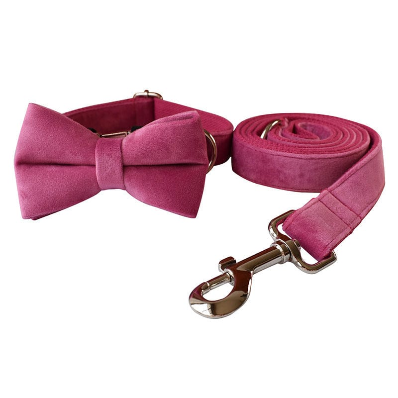 Hundeleine CLEO ROSE Premium Velvet Hundeleine + Halsband Set B / XS