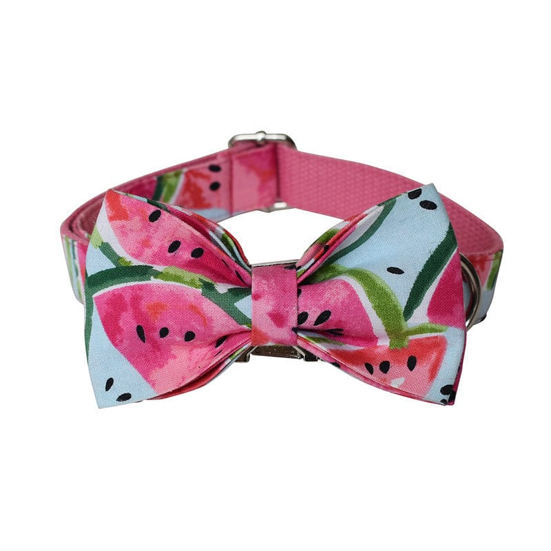 Hundeleine CLEO WATERMELON Premium Hundeleine + Halsband Halsband mit Schleife / XS