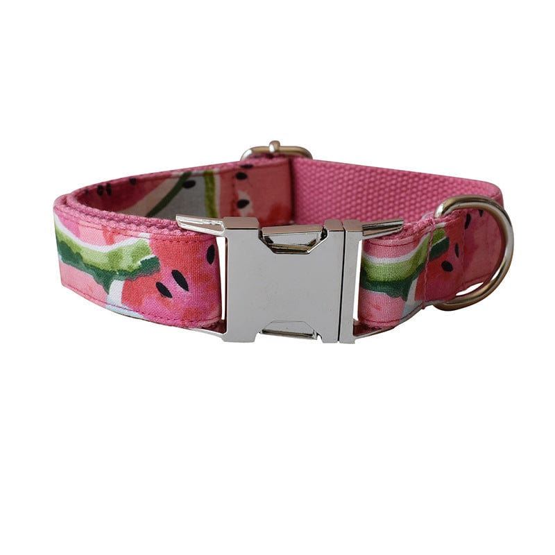 Hundeleine CLEO WATERMELON Premium Hundeleine + Halsband Halsband / XS