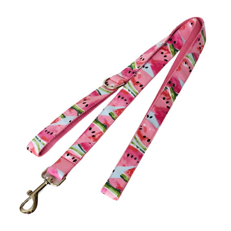 Hundeleine CLEO WATERMELON Premium Hundeleine + Halsband Leine / XS