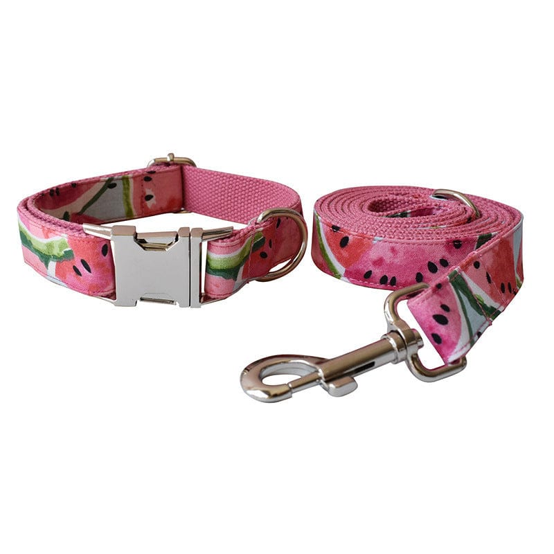 Hundeleine CLEO WATERMELON Premium Hundeleine + Halsband Set A / XS