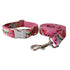 Hundeleine CLEO WATERMELON Premium Hundeleine + Halsband Set A / XS
