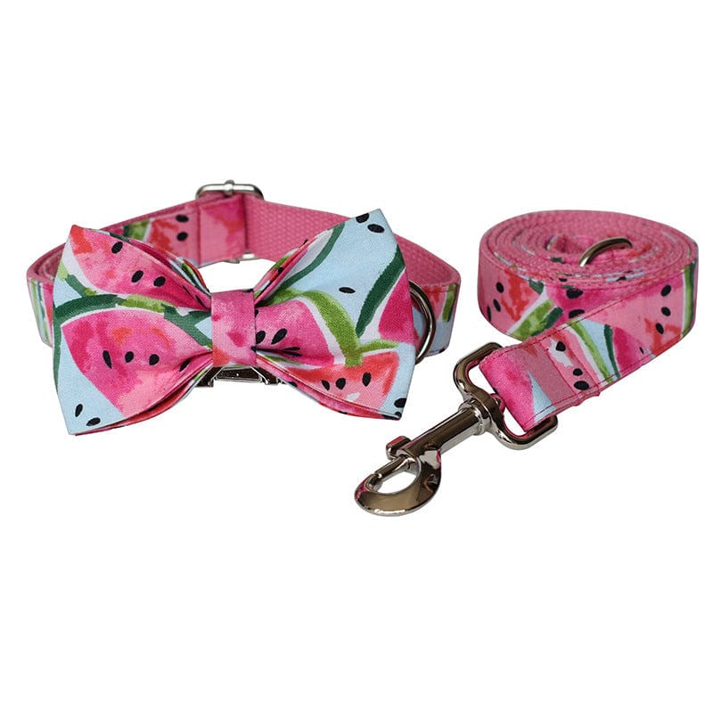 Hundeleine CLEO WATERMELON Premium Hundeleine + Halsband Set B / XS