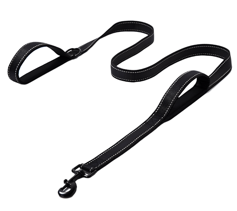 Hundeleine DRACO Doppelseitige Hundeleine mit Reflektorstreifen 1,8m Black