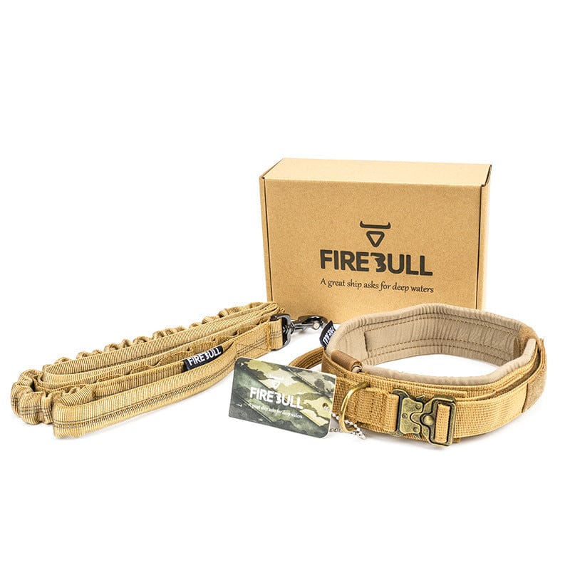 Hundeleine GOLIATH Halsband + Leine SET