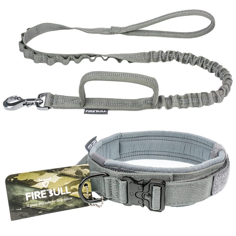 Hundeleine GOLIATH Halsband + Leine SET Set / Grey / S