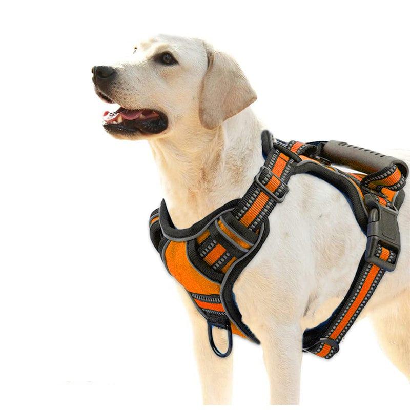 Hundeleine NO PULL Hundegeschirr – Atmungsaktiv, Reflektierend, Verstellbar