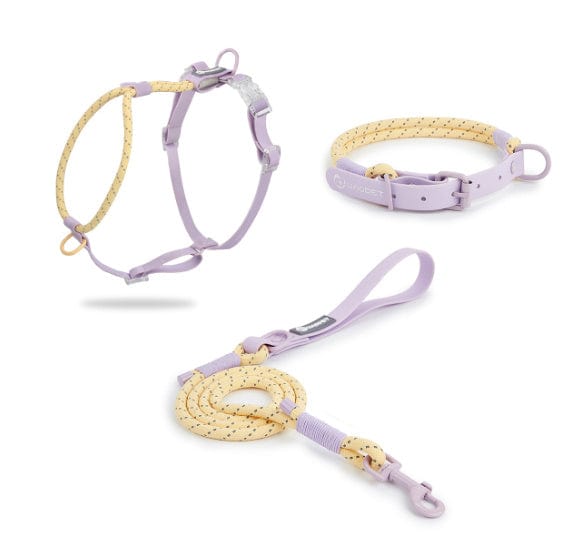 Hundeleine PONGO Reflektierende Hundeleine 1.2m, Geschirre &amp; Halsband