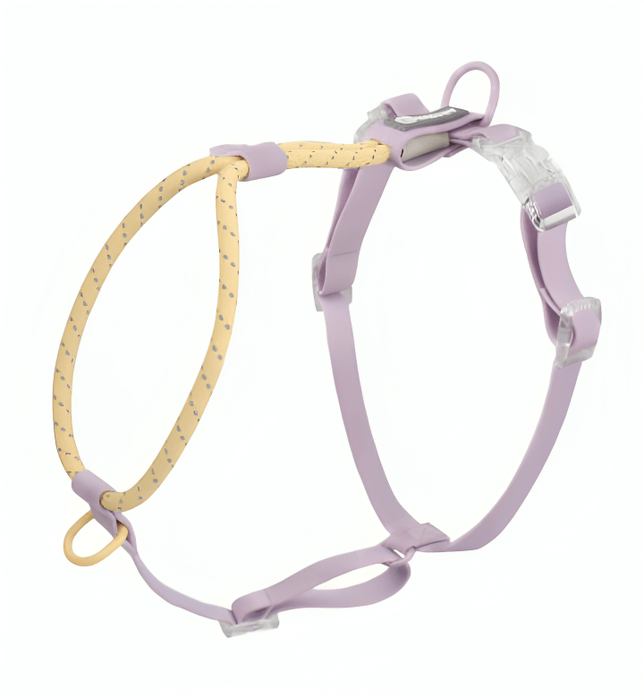 Hundeleine PONGO Reflektierende Hundeleine 1.2m, Geschirre &amp; Halsband Geschirre Purple / S