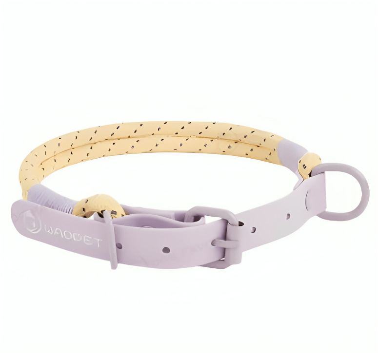 Hundeleine PONGO Reflektierende Hundeleine 1.2m, Geschirre &amp; Halsband Halsband Purple / S