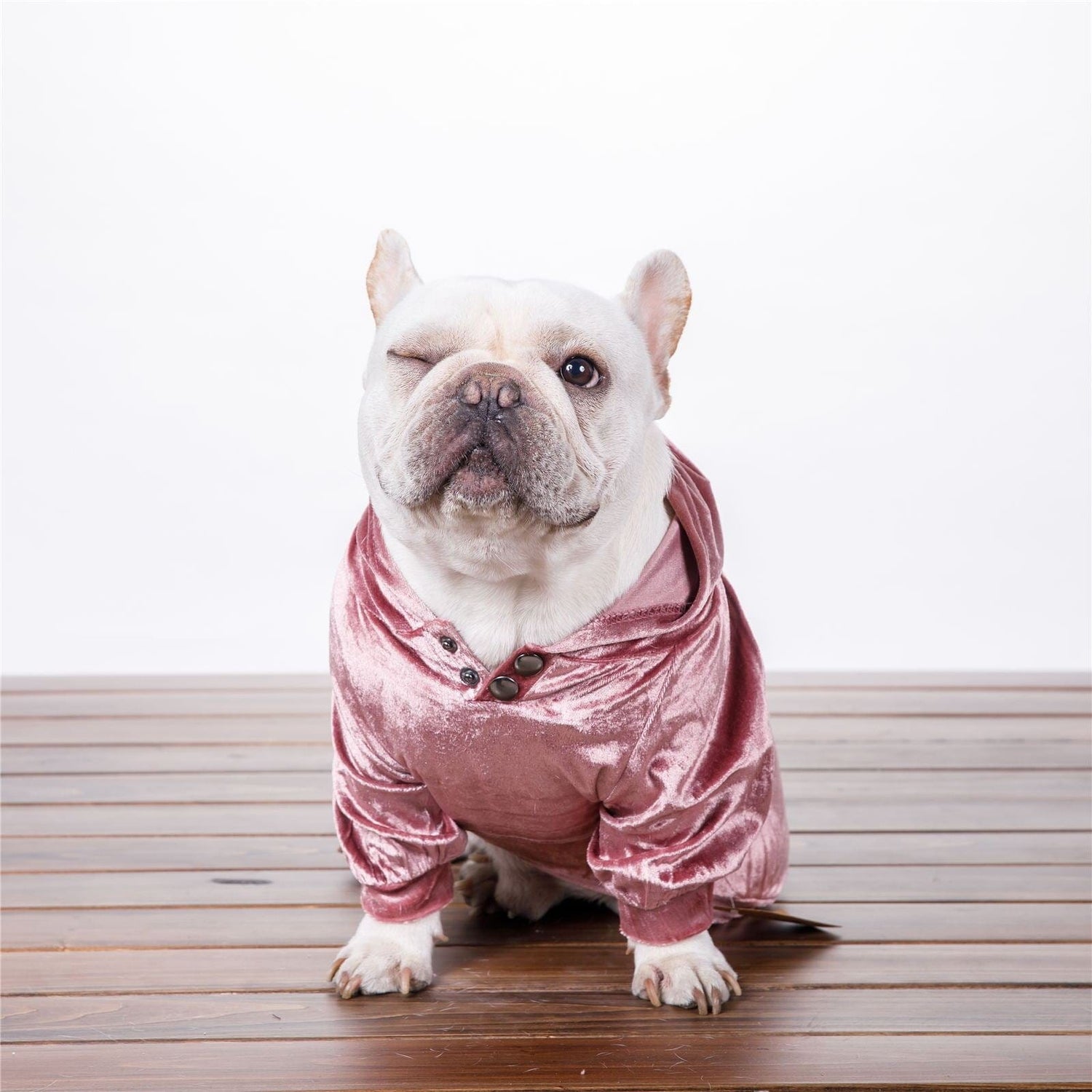 Hundepullover AMORE MIO Velvet Lux Kuscheliger Hoodie für Hunde