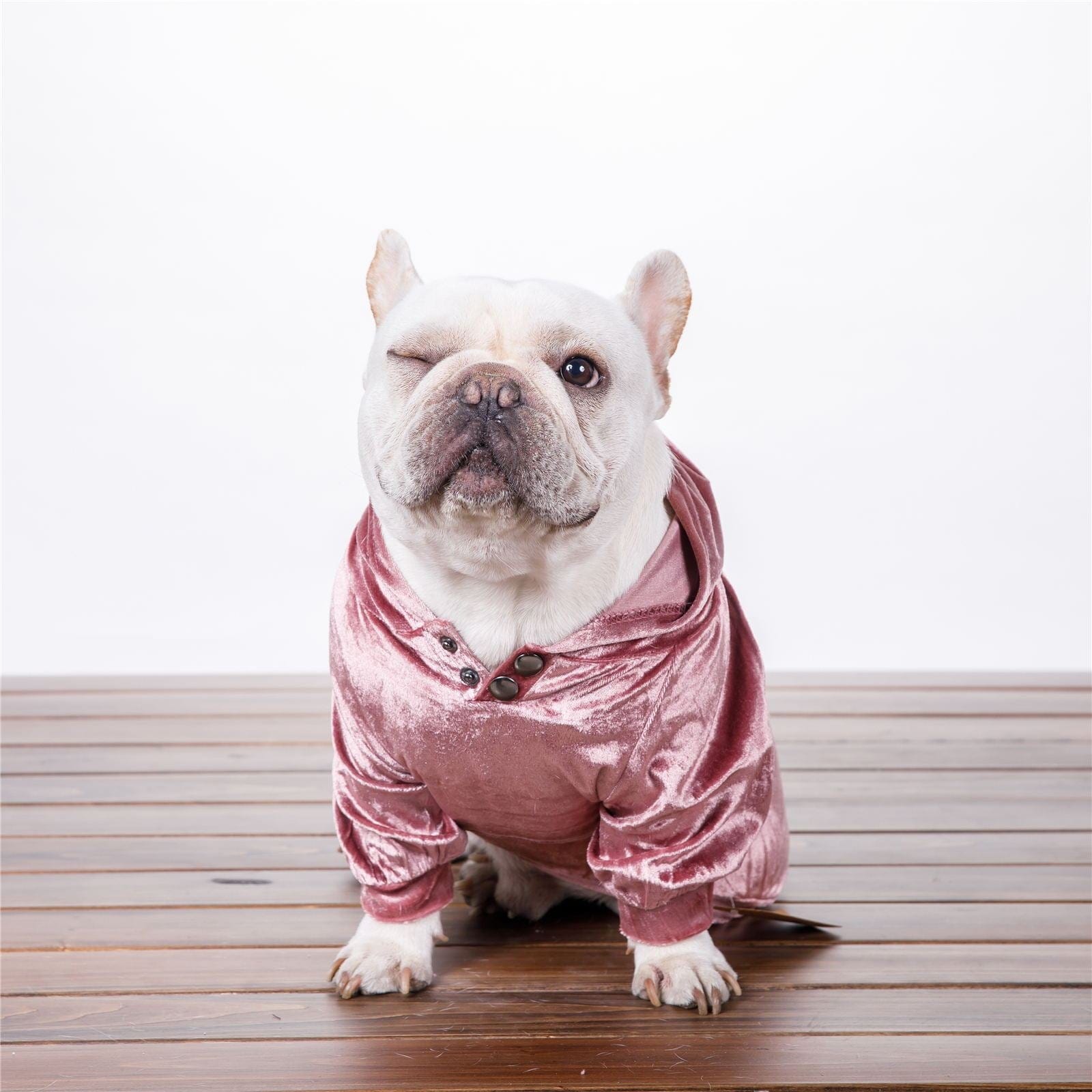 Hundepullover AMORE MIO Velvet Lux Kuscheliger Hoodie für Hunde