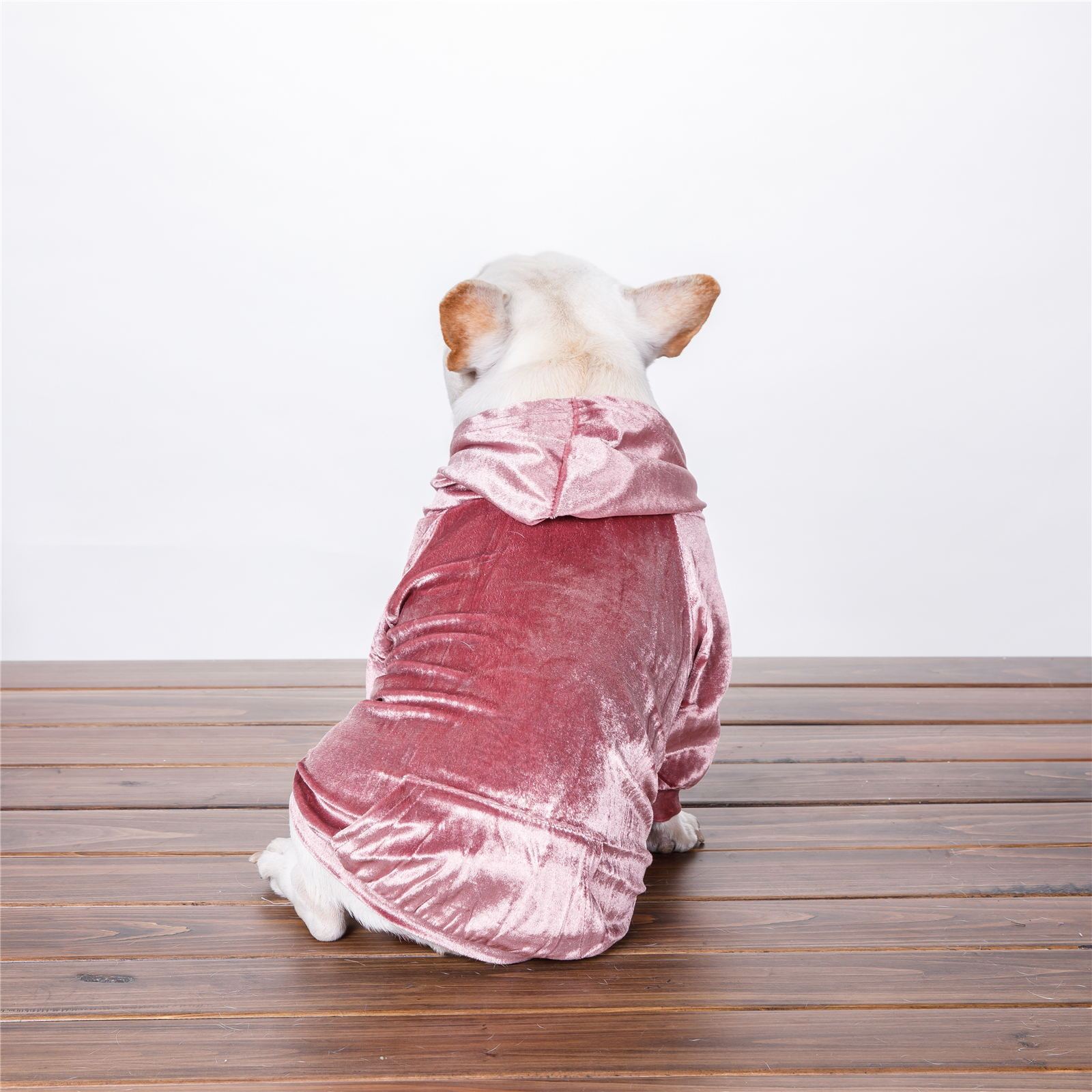 Hundepullover AMORE MIO Velvet Lux Kuscheliger Hoodie für Hunde