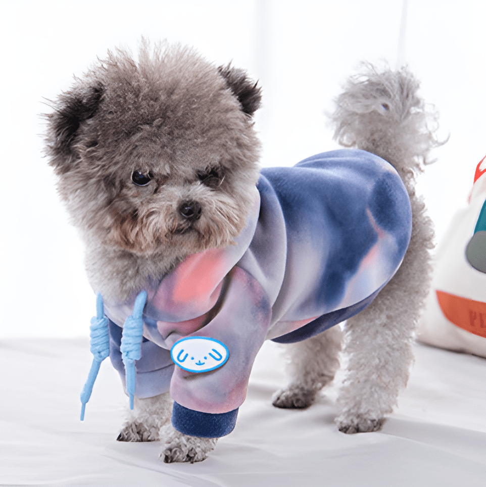 Hundepullover TEDDY Warmer Hundepullover mit Kapuze