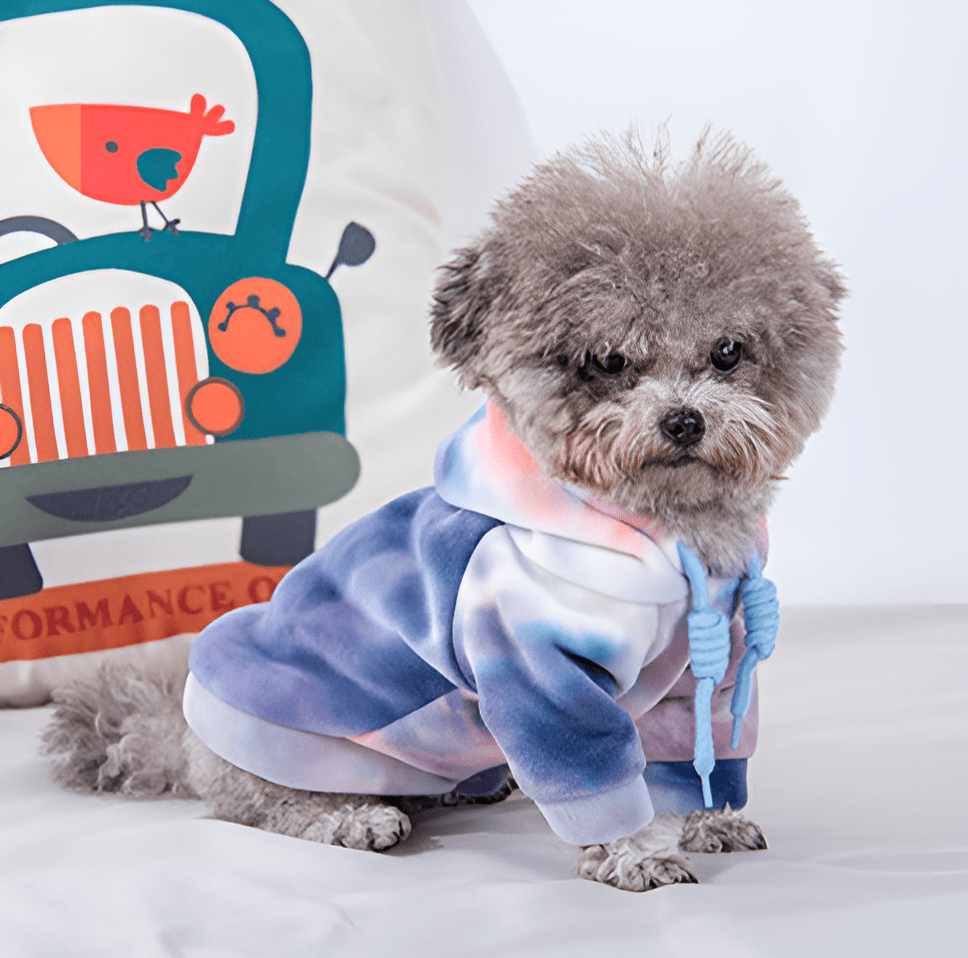 Hundepullover TEDDY Warmer Hundepullover mit Kapuze