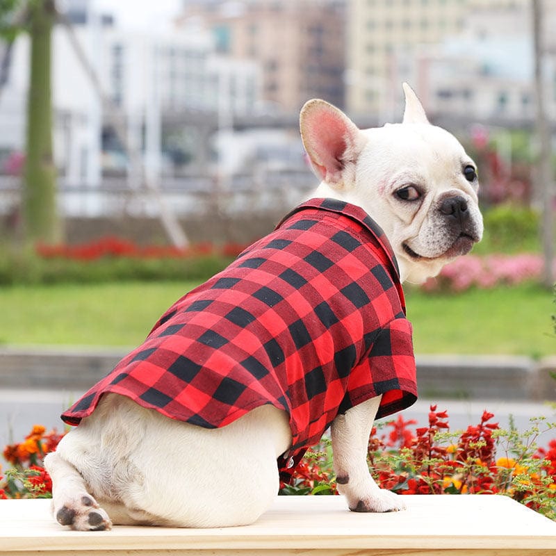 Hundeshirt CASIO Lässiges Plaid Shirt für kleine Hunde