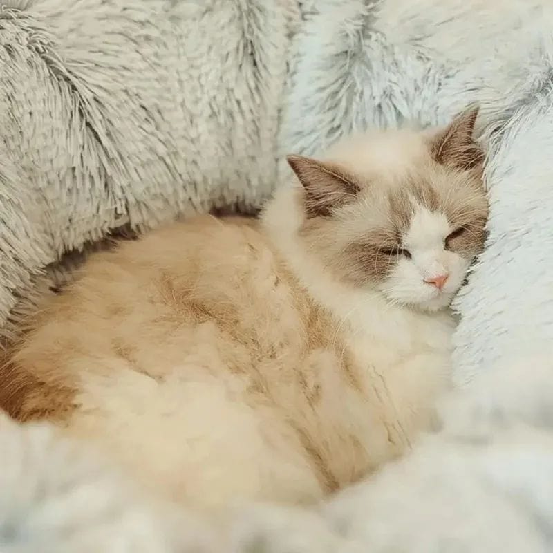 Katzenbett MILLIE Tunnel-Katzenbett - Kuscheliges Donut-Design